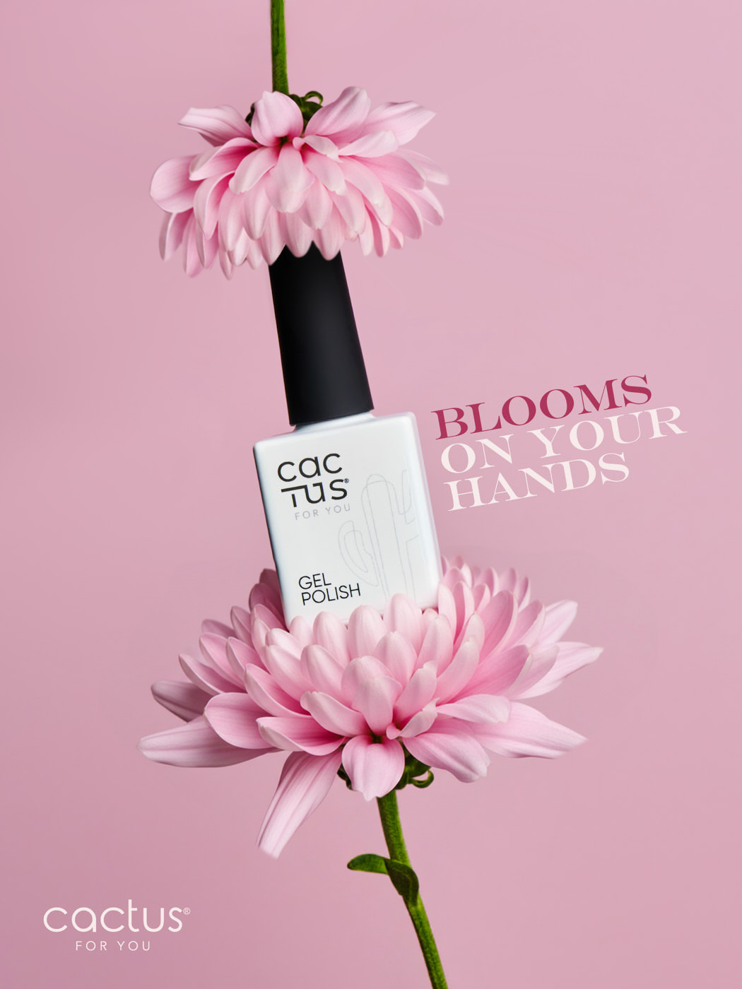Product still life London — onemorecolour photography studio